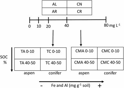 Aspen Soils Retain More Dissolved Organic Carbon Than Conifer Soils in a Sorption Experiment